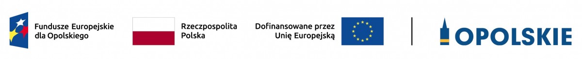Wspieranie usług społecznych poprzez modernizację Domu Dziennego Pobytu nr 2 "Magnolia" w Kędzierzynie-Koźlu