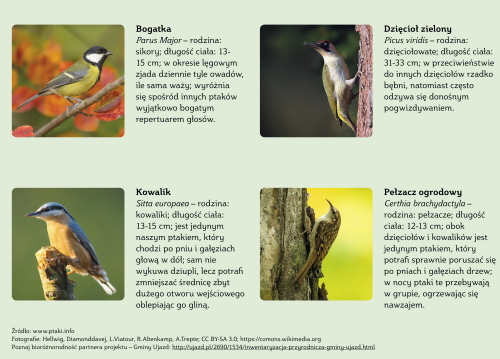 Planty Kozielskie – interaktywna ścieżka przyrodniczo-edukacyjna » Ptaki-2