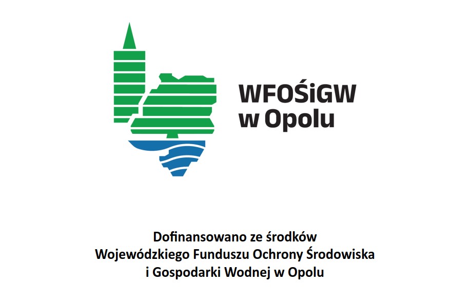 Zakup specjalistycznego pojazdu do działań kontrolnych oraz określania zagrożeń środowiskowych i oceny skutków awarii