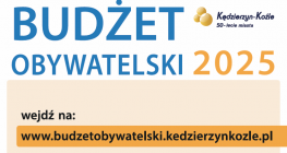 Pomysły zgłoszone. Co dalej?