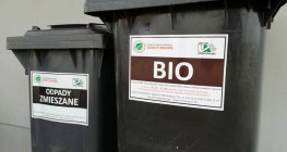 Kiedy wywiozą szkło, a kiedy plastiki?