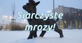 Ostrzeżenie meteorologiczne Nr 15 - Silny mróz