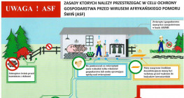 Chroń trzodę przed afrykańskim pomorem świń