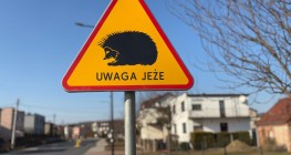 „Uwaga jeże”. Nietypowy znak na Kuźniczkach