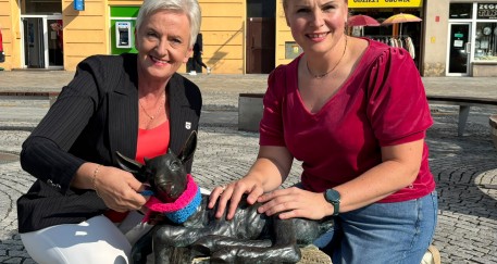 Koziołki ubrały się na różowo i niebiesko. To ważny symbol