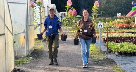 Jesień rozkwitła wśród traw i kwiatów