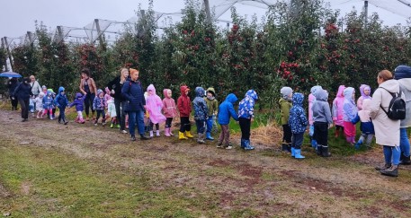 W sadzie rosły przedszkolaki!