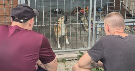 Smycz, spacer i lekcja odpowiedzialności