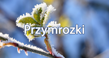 Ostrzeżenie meteorologiczne Nr 28 - Przymrozki