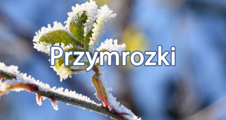 Ostrzeżenie meteorologiczne Nr 17 - Przymrozki