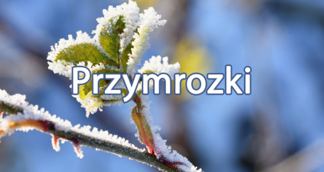 Ostrzeżenie meteorologiczne Nr 31 - Przymrozki