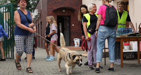 Wspierajmy zwierząta ze schroniska. Także twórczo