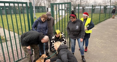 Świąteczne serca dla czworonogów