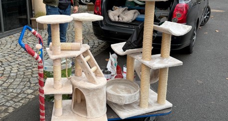 Urzędnicy pomagają futrzakom!