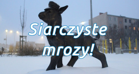 Ostrzeżenia meteorologiczne nr 21 - Silny mróz