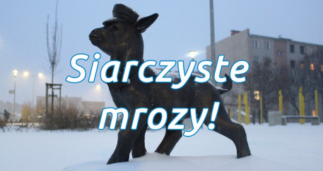 Ostrzeżenie meteorologiczne Nr 21 - Silny mróz