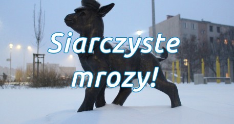 Ostrzeżenie meteorologiczne Nr 15 - Silny mróz