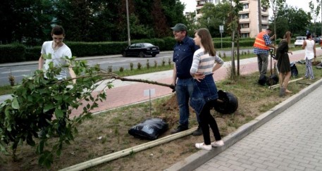 „Młodzieżowe” drzewka rosną na os. Piastów