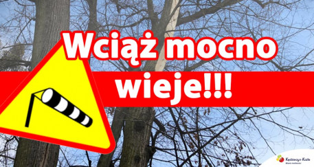 Ostrzeżenie meteorologiczne Nr 15 - Silny wiatr